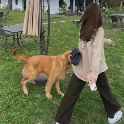 典籍里的中国第二季
